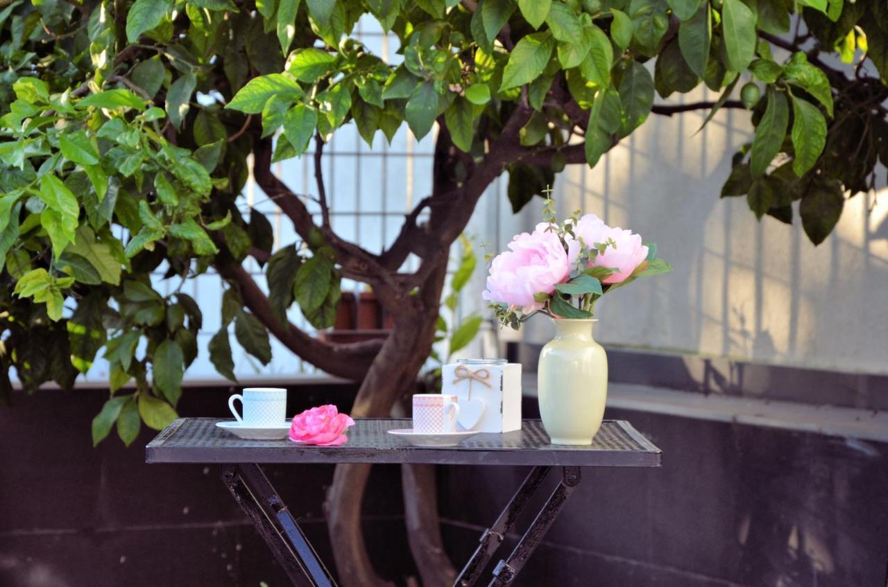 Rosa Vesuviana Bed and Breakfast Boscoreale Buitenkant foto